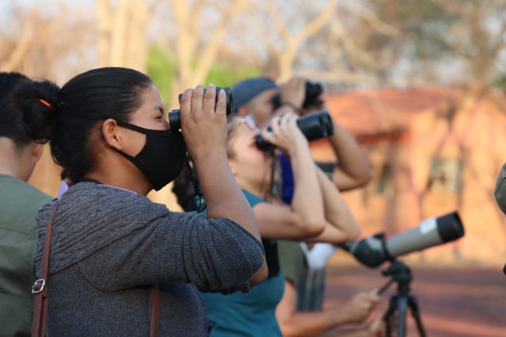 Observadores de aves (foto: Simone Mamede)