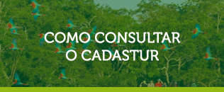 como-consultar-o-cadastur.