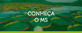 conheça-o-ms.