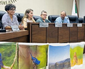 Encontro Internacional de Observação de Aves em Bonito reforça referência de MS no segmento