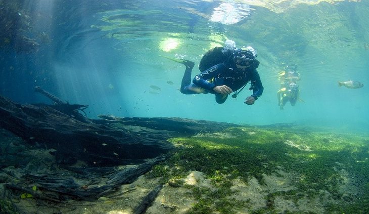 Começa o 2º Feirão de Turismo que incentiva o sul-mato-grossense a conhecer as belezas do Estado 2 Mergulho Rio da Prata foto VisitMS 768x425 1 730x425 1